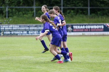Bild 203 - wCJ VfL Pinneberg - Nordlichter im NSV : Ergebnis: 4:3